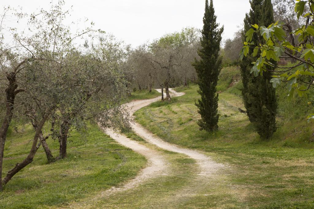Agriturismo Borgo Personatina Sovicille Kültér fotó