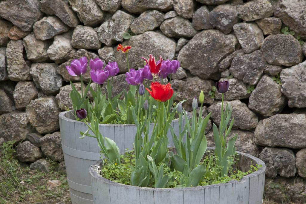 Agriturismo Borgo Personatina Sovicille Kültér fotó