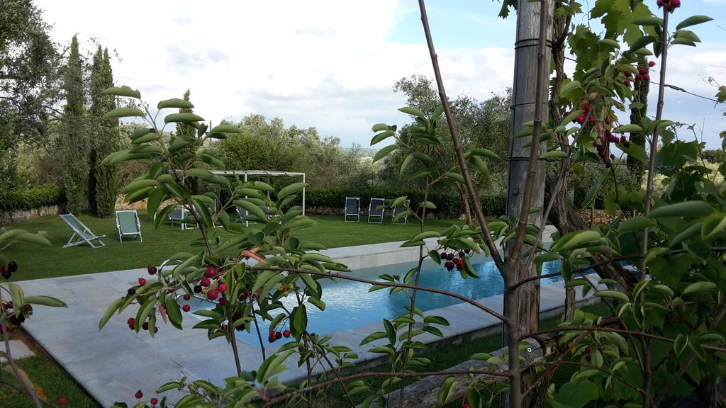 Agriturismo Borgo Personatina Sovicille Kültér fotó